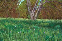 Landscape, Pallet Knife, Sierra Mountains