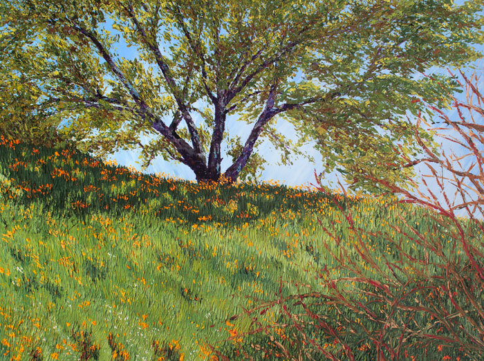 Sierra Foothills, Pallet knife, Wildflowers, Painter, American River, American River Canyon, North Fork American River, 
